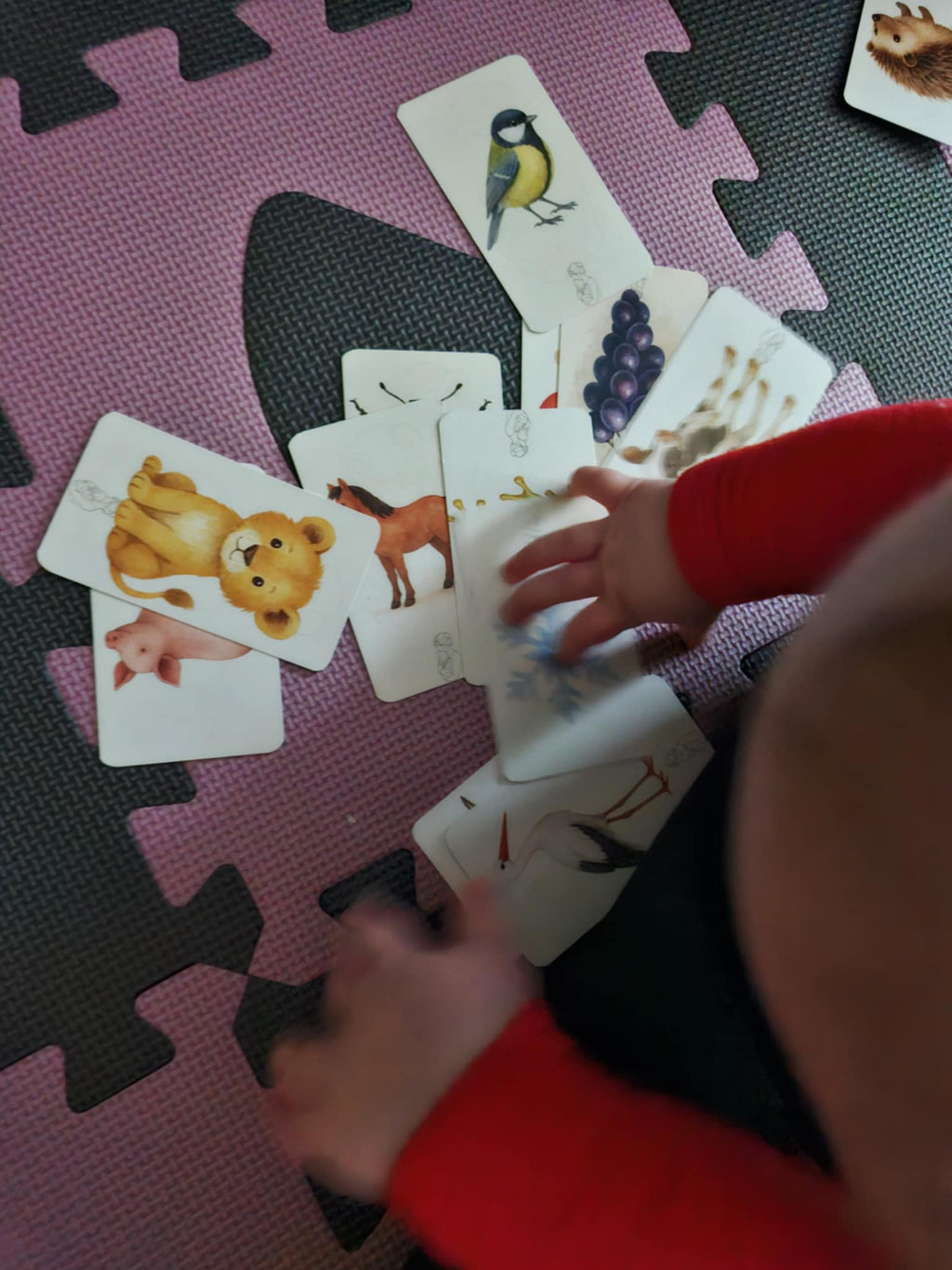 Aiga Mondókás kártya