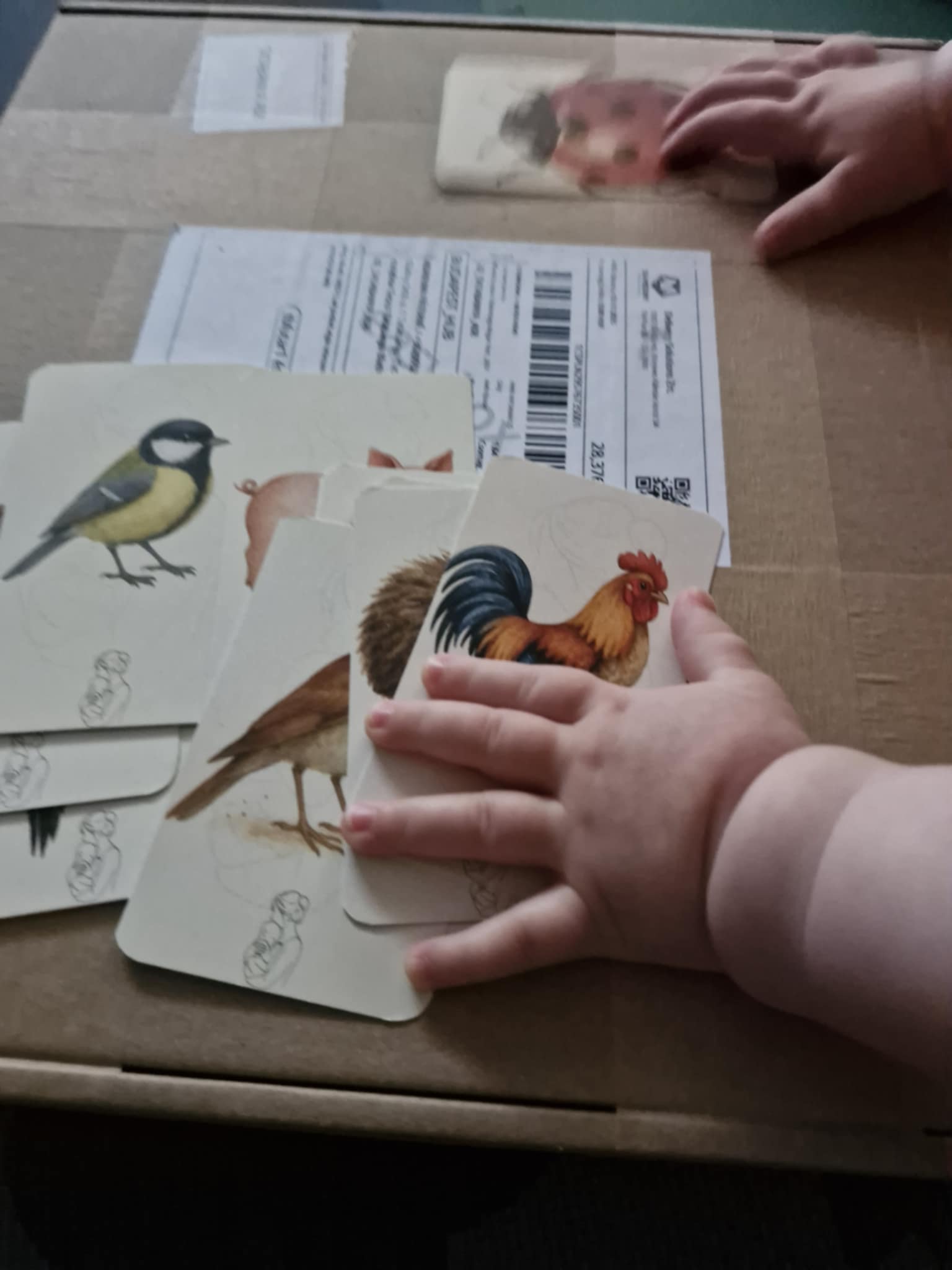 Aiga Mondókás kártya